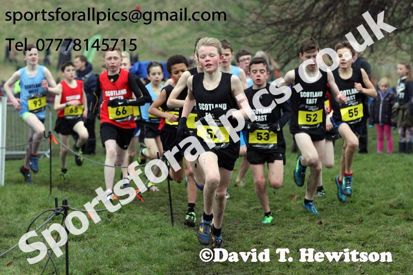 Inter District boys under-13s, 2018 Simplyhealth Great Edinburgh International XCountry. Photo: David T. Hewitson/Sports for All Pics